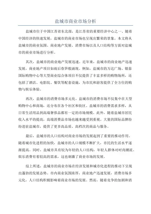 盐城市商业市场分析