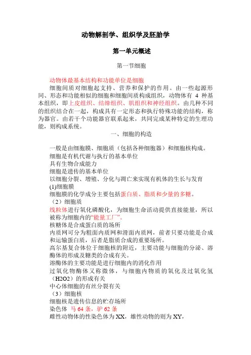 动物医学《动物解剖学、组织学及胚胎学》知识点