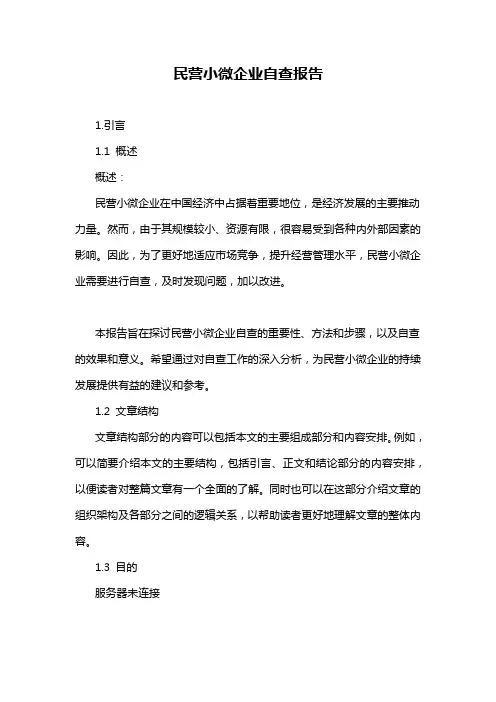 民营小微企业自查报告