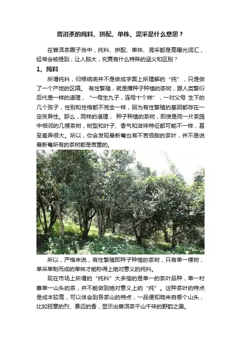 普洱茶的纯料、拼配、单株、混采是什么意思？