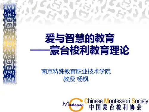 蒙台梭利教育理论PPT课件