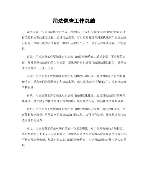 司法巡查工作总结