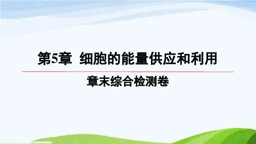 第五章章末综合检测卷高中生物必修一人教版