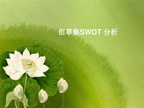 佰草集SWOT分析