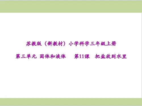 2019年新苏教版(新教材)三年级上册小学科学 第11课 把盐放到水里
