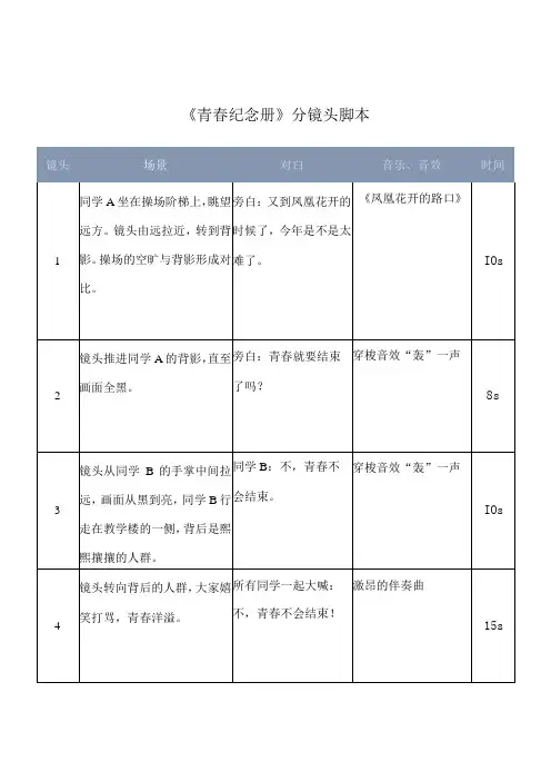短视频分镜头拍摄脚本5份