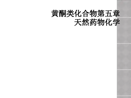 黄酮类化合物第五章天然药物化学