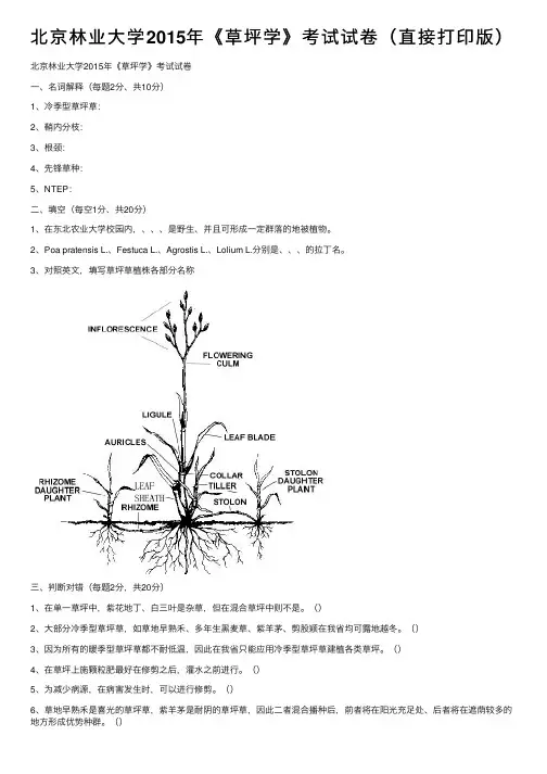 北京林业大学2015年《草坪学》考试试卷（直接打印版）