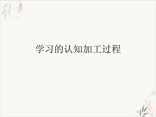 学习的认知加工过程PPT.