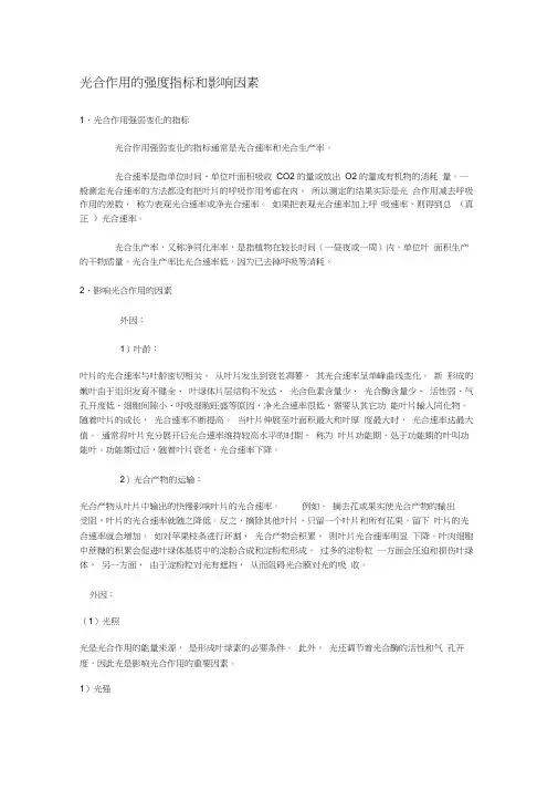 光合作用的强度指标和影响因素