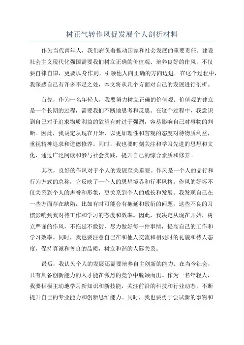 树正气转作风促发展个人剖析材料