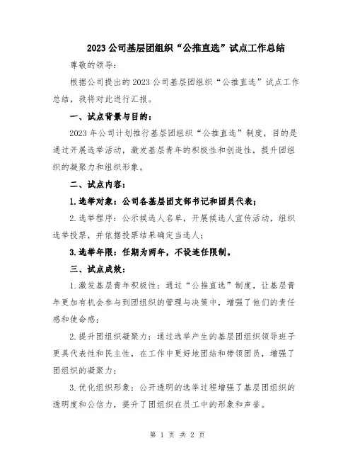2023公司基层团组织“公推直选”试点工作总结