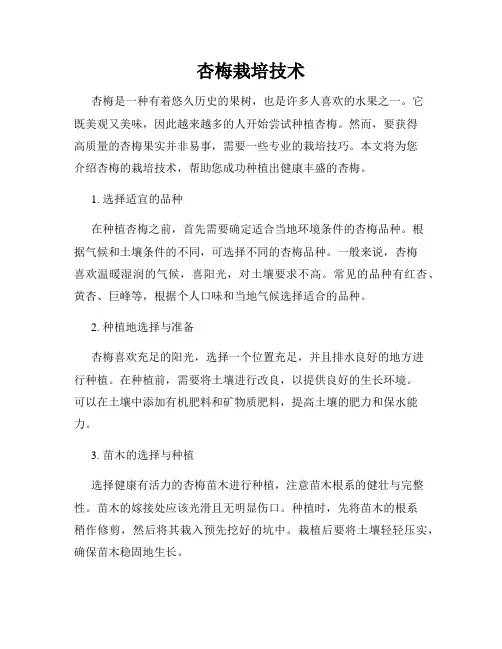 杏梅栽培技术