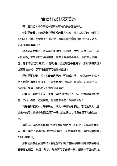 岩石样品状态描述