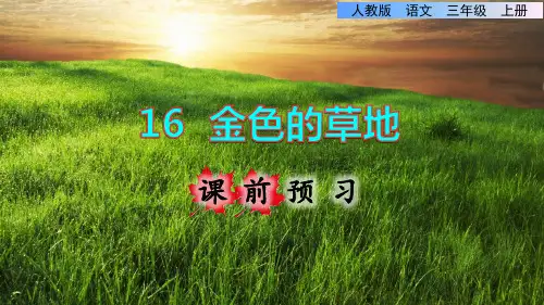 三年级上册语文课件-课前预习：第16课《金色的草地》 人教部编版