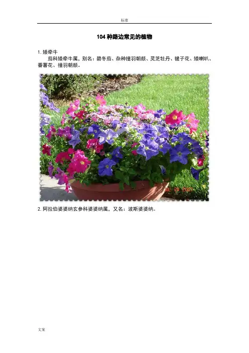 104种常见地植物图片集