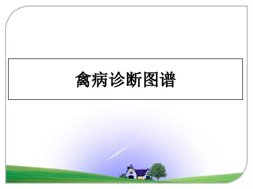 最新禽病诊断图谱