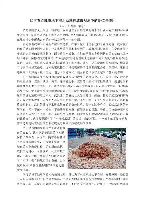 大学专业课论文：城市地理论文