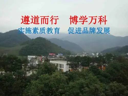 素质教育督导评估汇报材料
