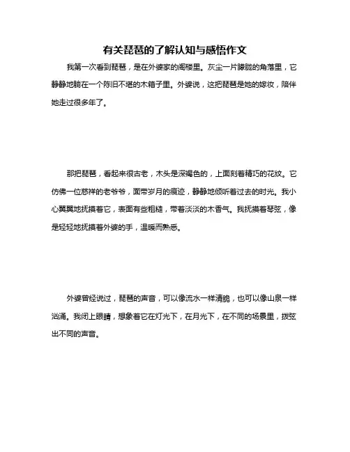 有关琵琶的了解认知与感悟作文