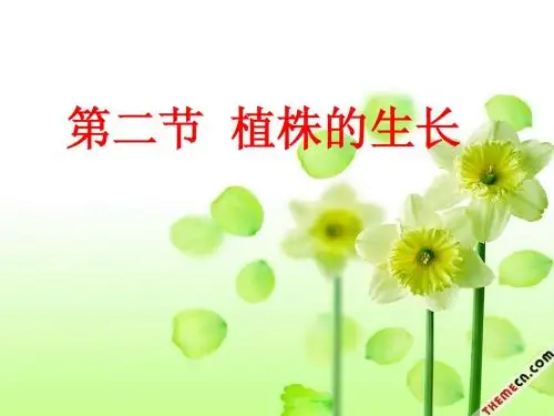 植株的生长