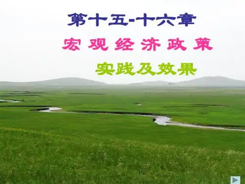 15-16宏观经济政策