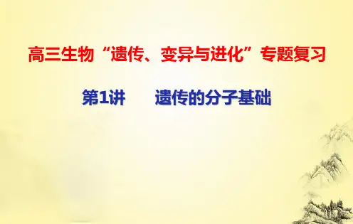 高三生物“遗传、变异与进化”专题复习：第1讲 遗传的分子基础