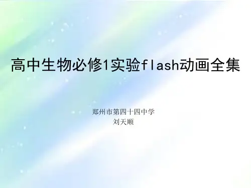 高中生物必修1实验flash动画全集 PPT