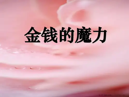 24《金钱的魔力》课件