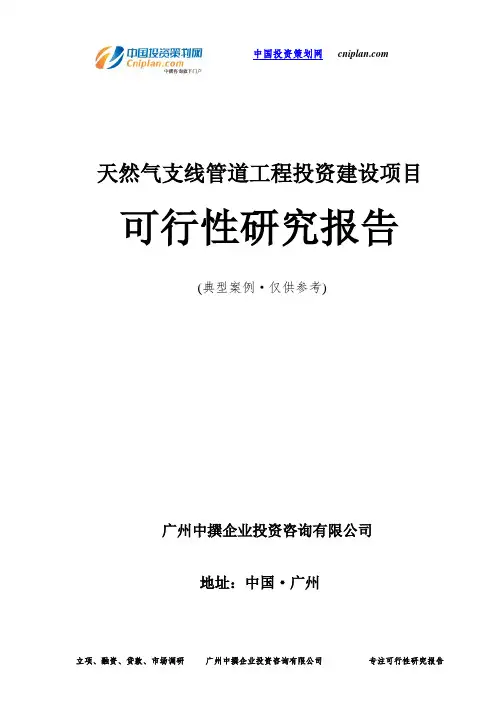 天然气支线管道工程投资建设项目可行性研究报告-广州中撰咨询