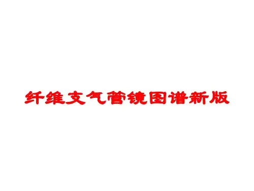 纤维支气管镜图谱新版培训课件