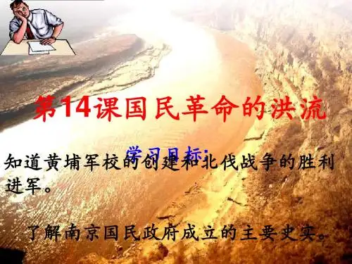 国民革命的洪流ppt