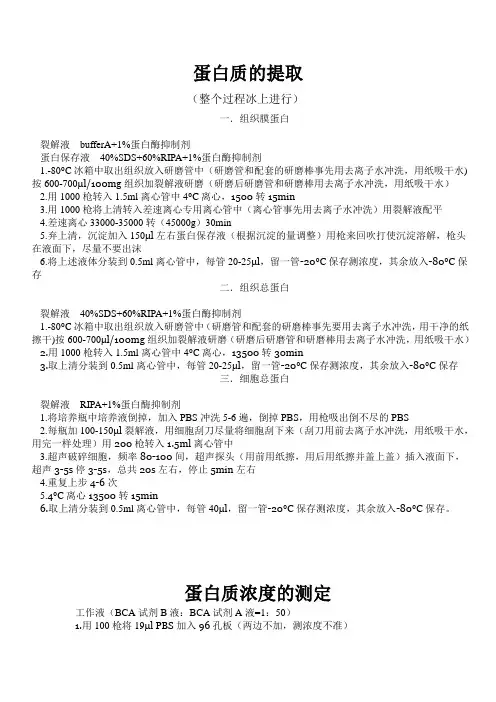 western blot实验步骤