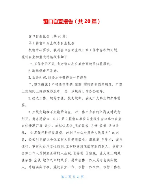 窗口自查报告(共20篇)