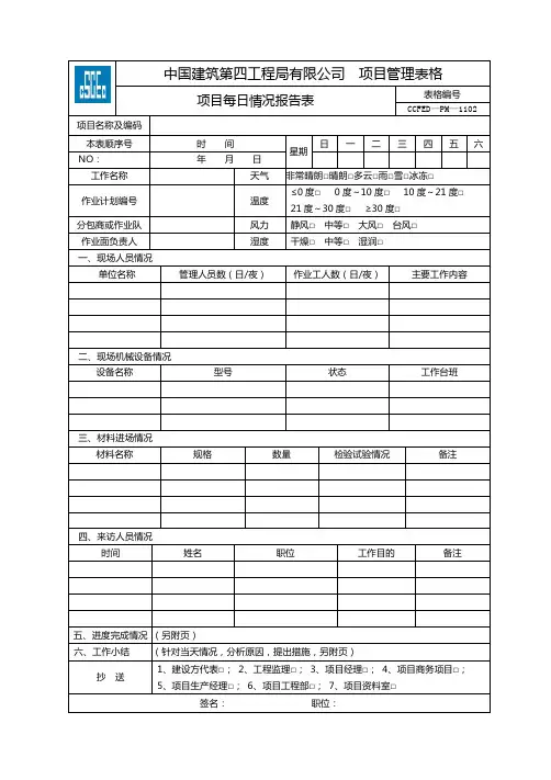 项目施工每日情况报告表