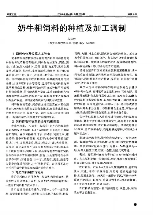 奶牛粗饲料的种植及加工调制