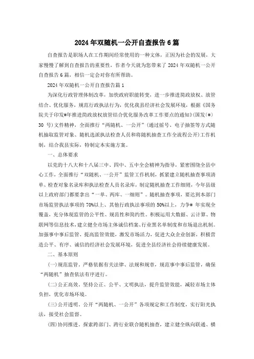 2024年双随机一公开自查报告6篇