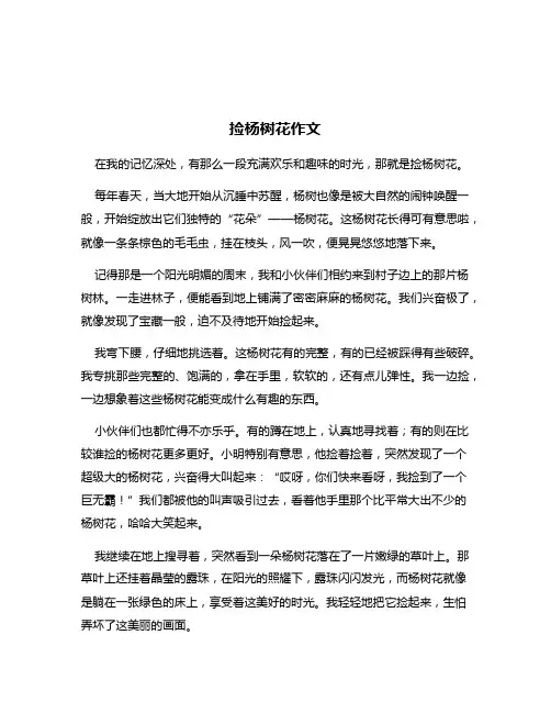 捡杨树花作文