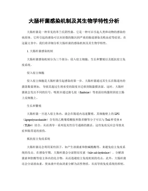 大肠杆菌感染机制及其生物学特性分析