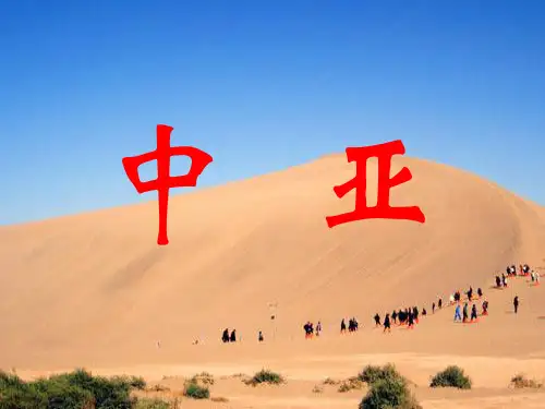 中亚