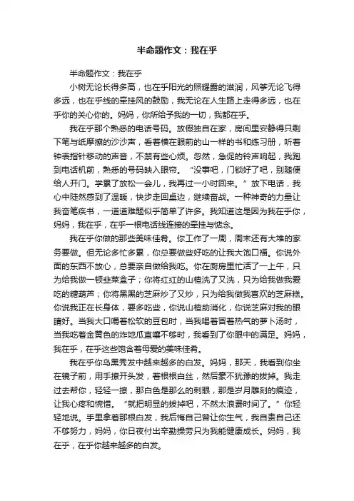 半命题作文：我在乎
