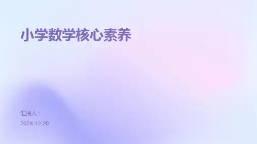 小学数学核心素养