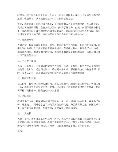 入职工作一个月感想总结