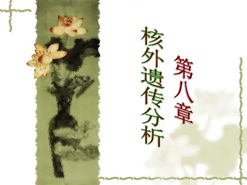 第八章 核外遗传