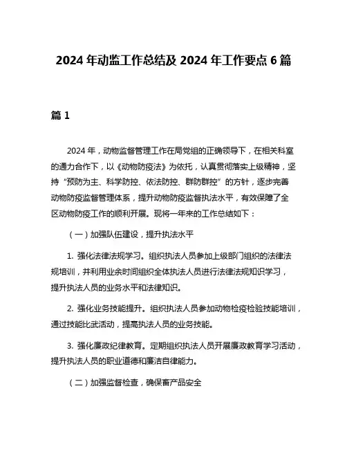 2024年动监工作总结及2024年工作要点6篇