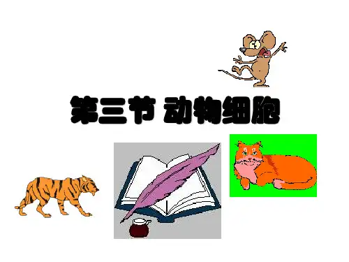 人教版生物七年上第三节 动物细胞(共35张PPT)