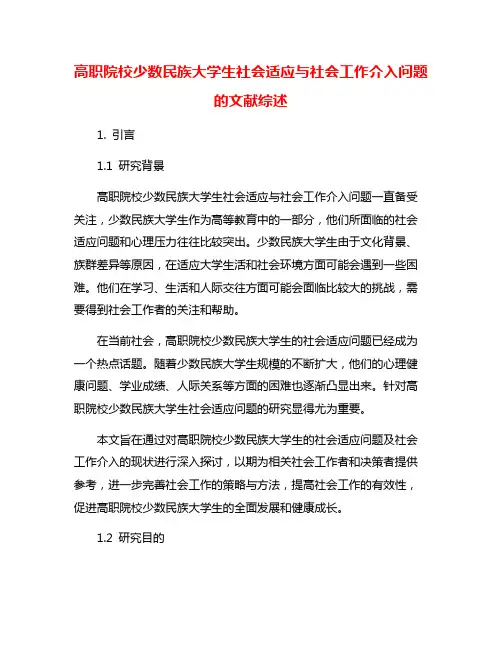 高职院校少数民族大学生社会适应与社会工作介入问题的文献综述