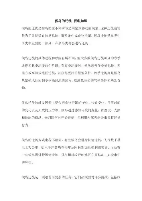 候鸟的迁徙 百科知识