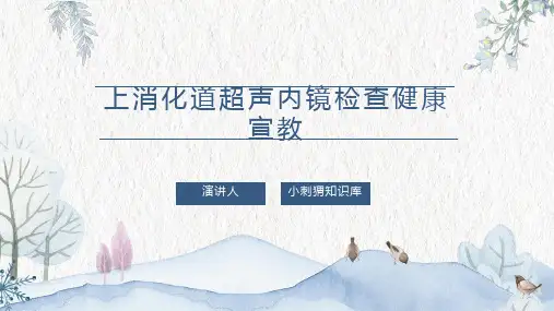 上消化道超声内镜检查健康宣教PPT课件