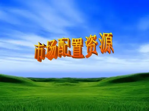 2016届高考一轮复习经济生活第9课走进社会主义市场经济(共13张ppt)